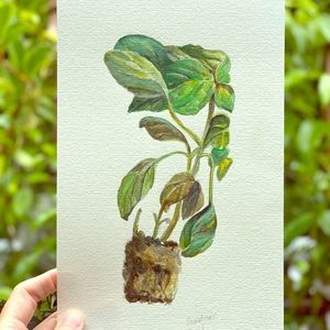Grandma’s Basil : Herb Watercolor Print 8x10